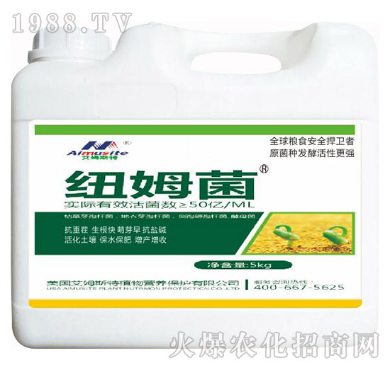 �~ķ��-��ķ˹��