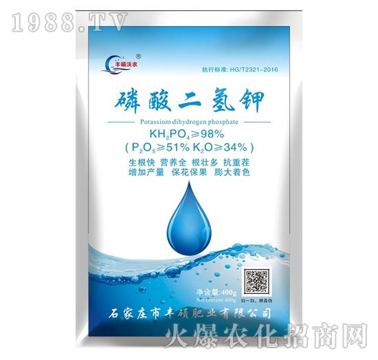 ��������-�S�T�ʘI(y��)