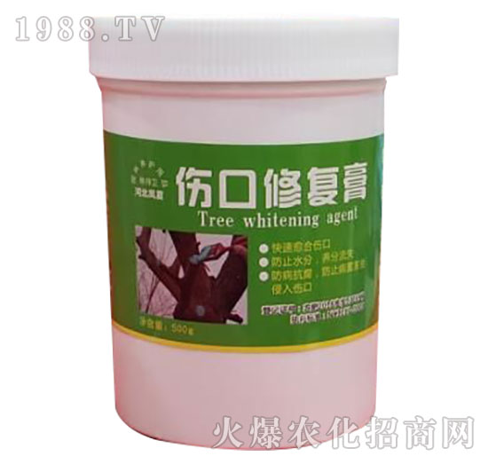 �����ޏ͌�-�ӱ��P��