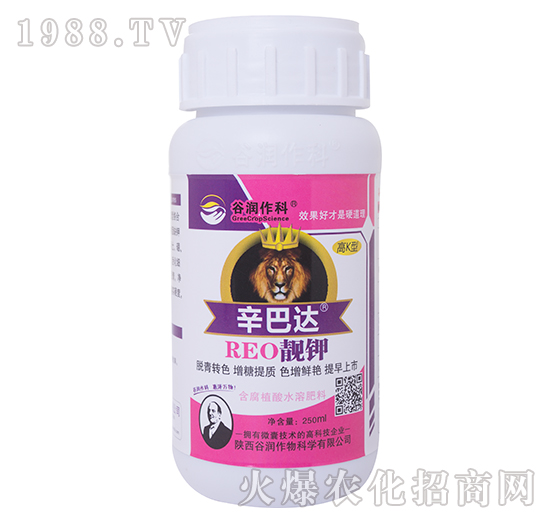 �n�-�����_(d��)-�ȝ�(r��n)����