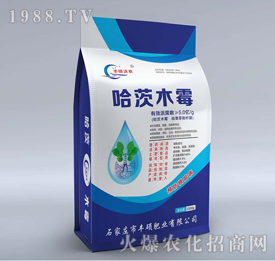 ����ľù-�S�T���r(n��ng)