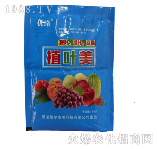 優(yōu)絡(luò)植葉美-德?tīng)柹? style=