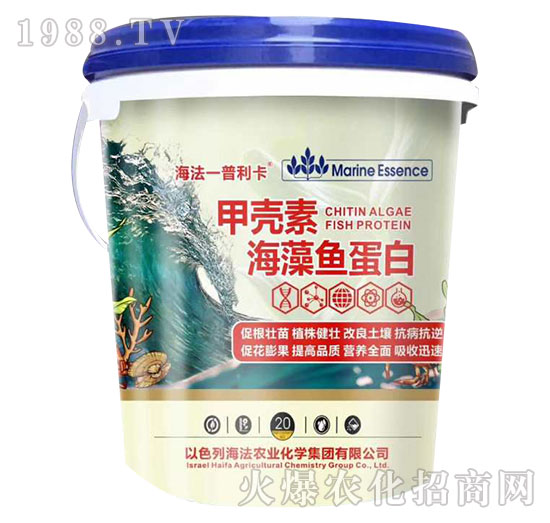 �ך��غ����~����-������