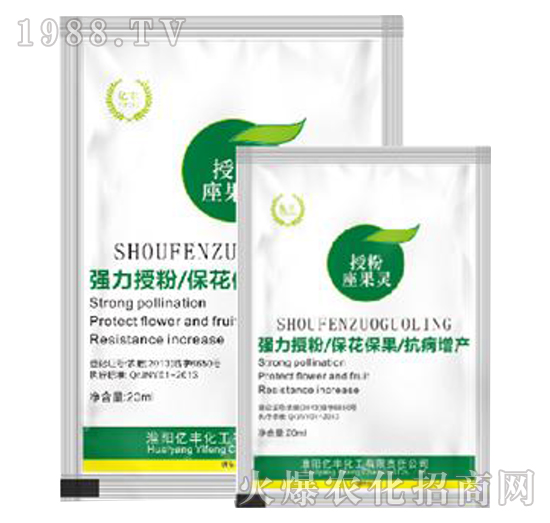 �ڷ������`-�|�S����