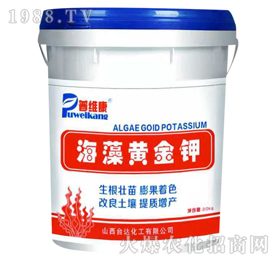 �����S���-�վS��-�_(t��i)�_(d��)