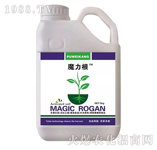 ħ����-�_�_