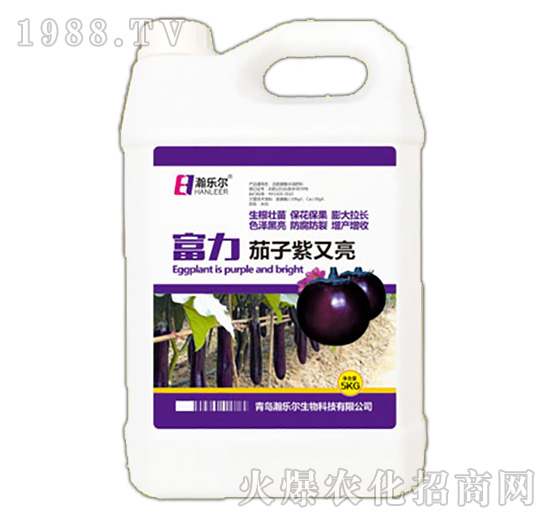 ����������-����-嫘���