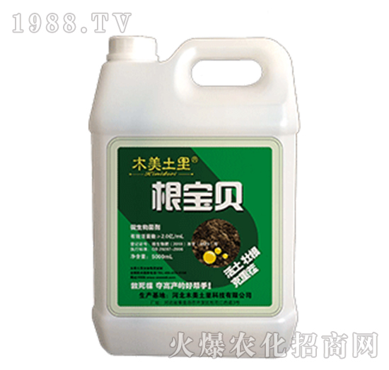 ����ؐ-ľ������