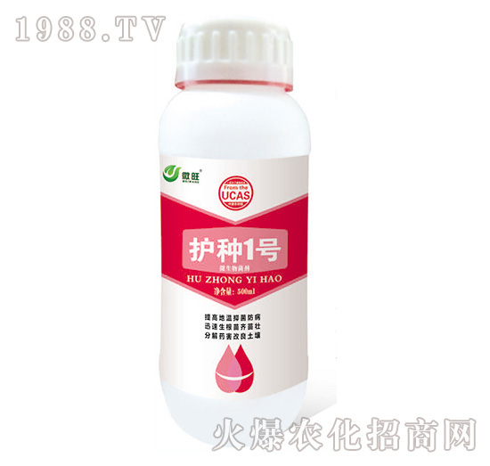 �o�N1̖-΢��-���S���