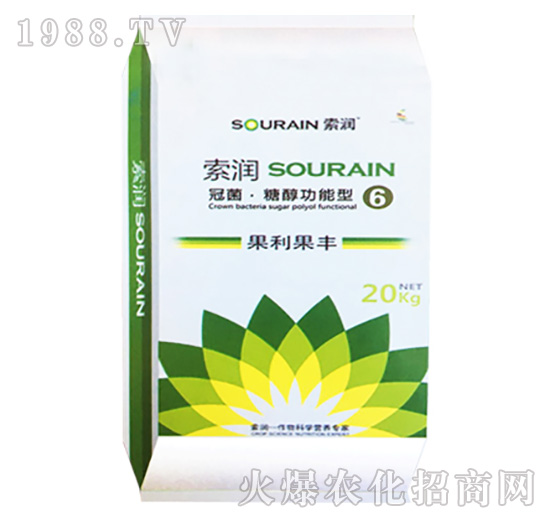 �ھ����Ǵ������͹������S-����6̖-����