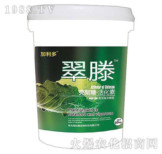 �����ǻ��-����-������-�����S