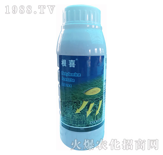 1.8%�����������}-��ϲ-�\(y��n)ʢ����