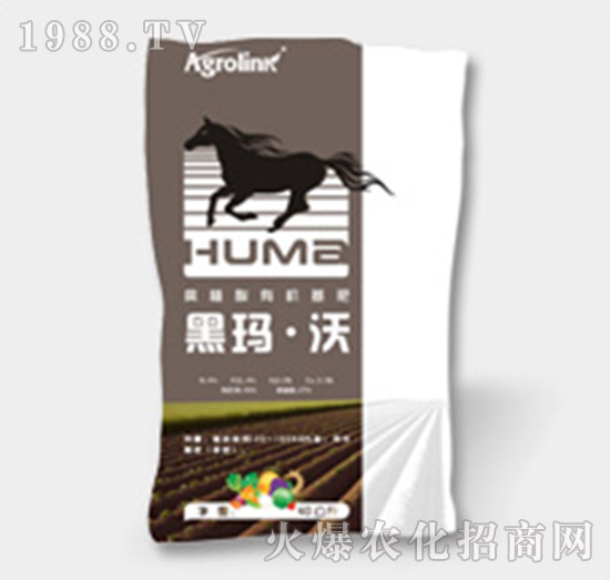 ��ֲ���ЙC����-�ڬ�����-�S(li��n)�r(n��ng)�I(y��)