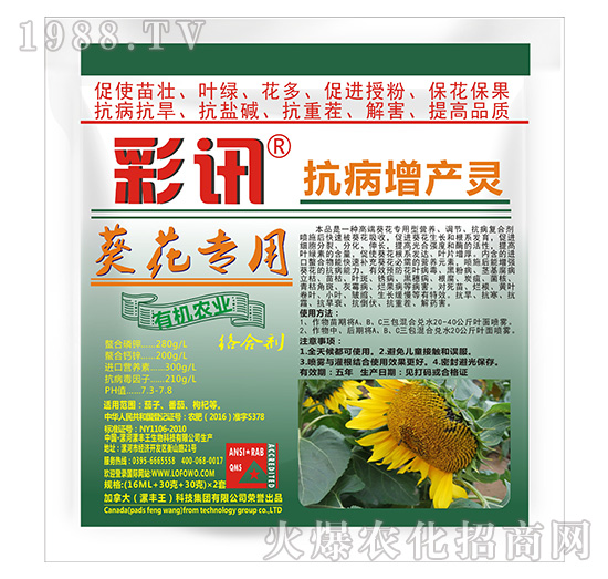 �������ÿ������a(ch��n)�`-��Ӎ-���S��