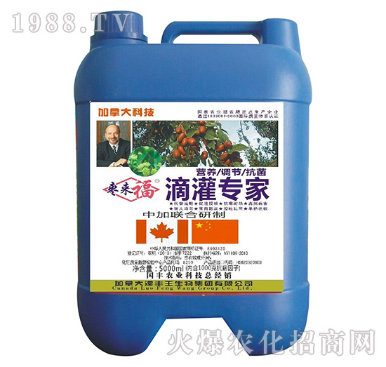 滴灌專家-棗來(lái)福-漯豐王