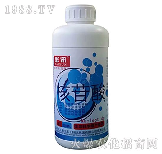 ������-��Ӎ-���S��