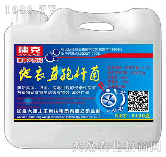 ����ѿ�ߗU��-�[��-���S��