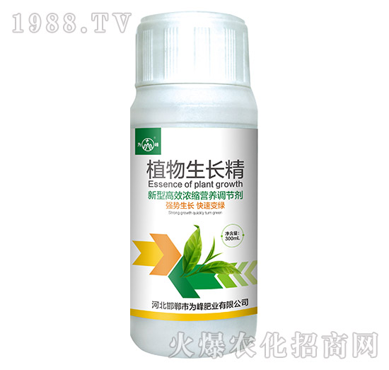 ֲ�����L��-���