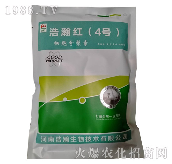 ��(x��)��������-��嫼t��4̖(h��o)��-�������