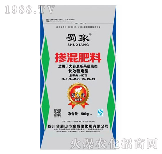 �������19-19-19-������