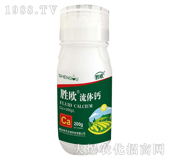 ���w�}-�ٚW-ζ������