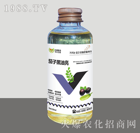 茄子黑油亮-匯豐植保