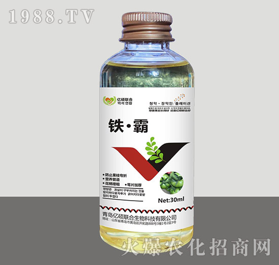 �F����-�R�Sֲ��