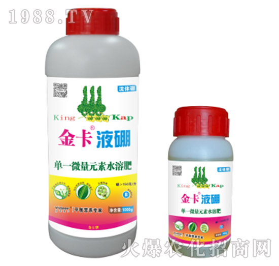 ��Һ��-� �����