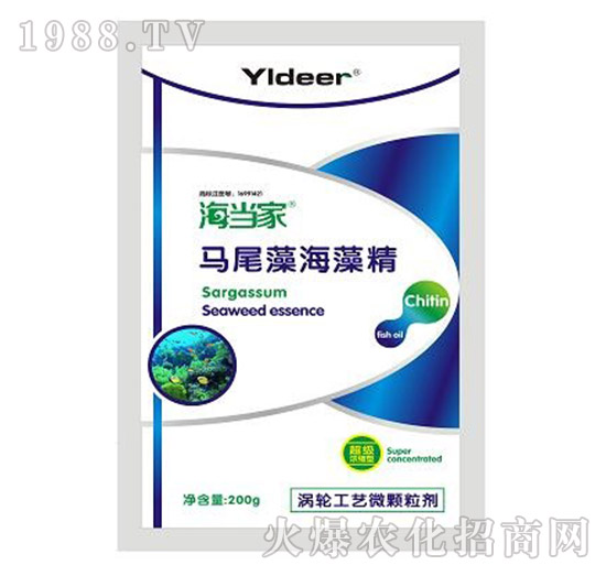 �Rβ�庣�徫-������-� �����