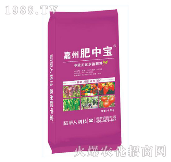 ���ݷ��Ќ�-������