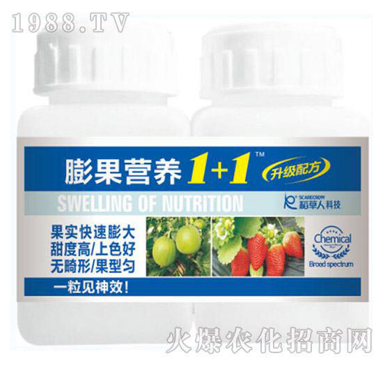 ����I�B(y��ng)1+1-������