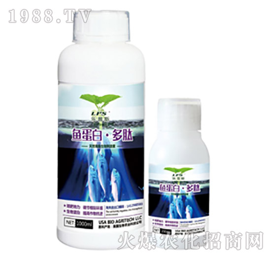 �~���ס�����-����˹-�Θ��ʘI(y��)