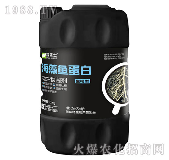 �����ͺ����~����-�ژ�ʿ