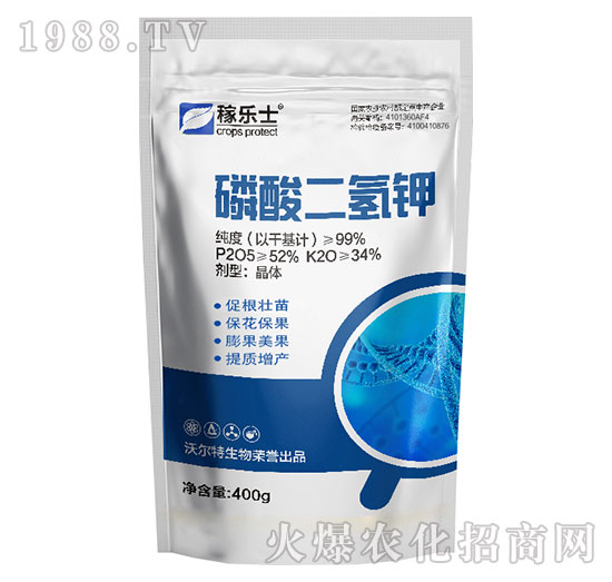 ��������-�ژ�ʿ