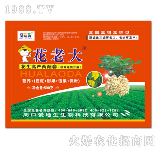 花老大-愛(ài)地生