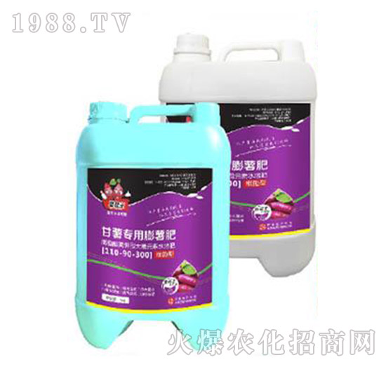 ���팣�������ʣ�500g��-�����-���A����