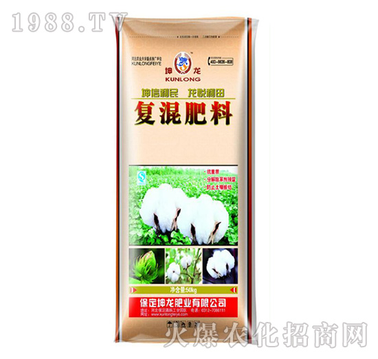 �ͻ����-����