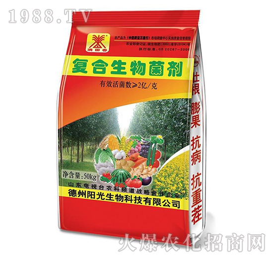 �ͺ��������-�M�ﴺ-ꖹ�����