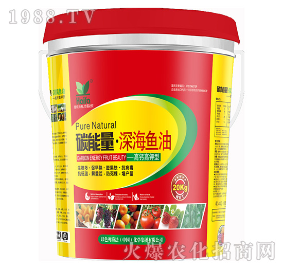 ���}�����-̼��������~��-����