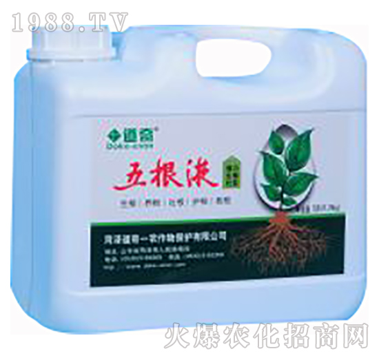 ���Һ-����