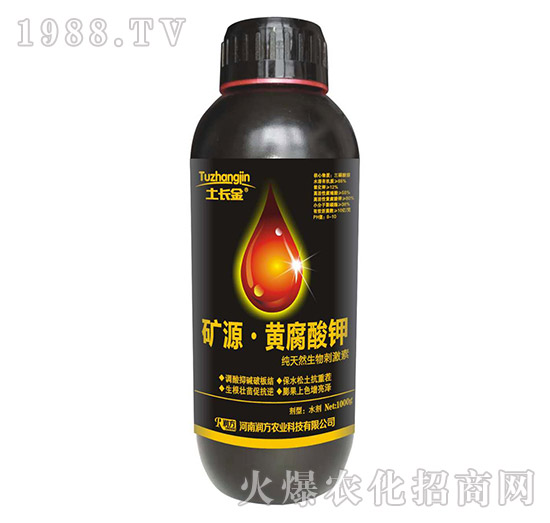 �VԴ���S����⛣�1000g��-���L��