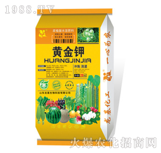 �S���-��������