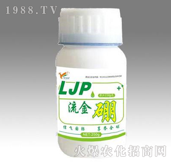 ������-���w�r(n��ng)�I(y��)