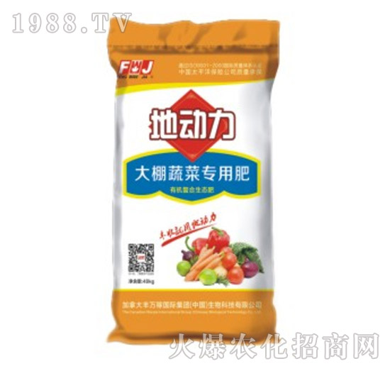 �����߲ˌ�(zhu��n)�÷�-�؄�(d��ng)��-�S�f(w��n)��