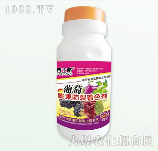 �������������ɫ��-��ʿ��