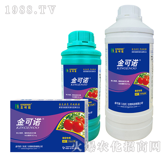 ���ь���-����Z