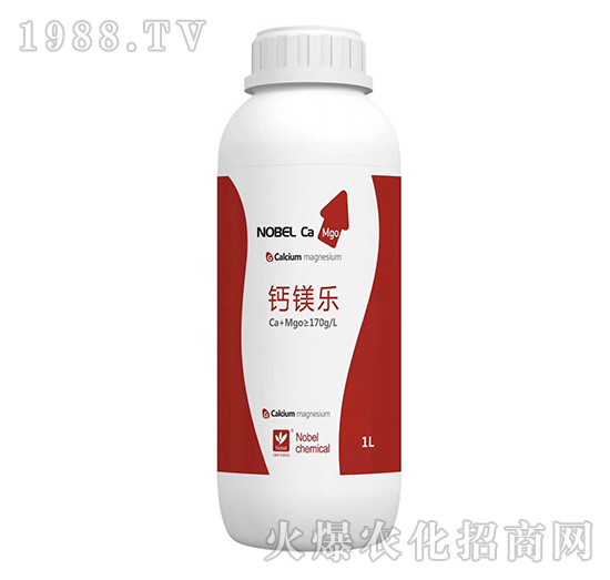 �}�V��(l��)-�Zؐ��