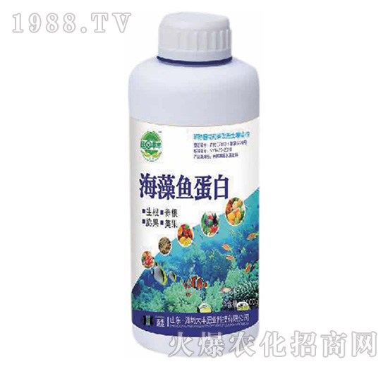 �����~(y��)����-��@���S-���S�ʘI(y��)