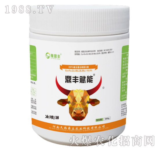 ���S�x��-���n����