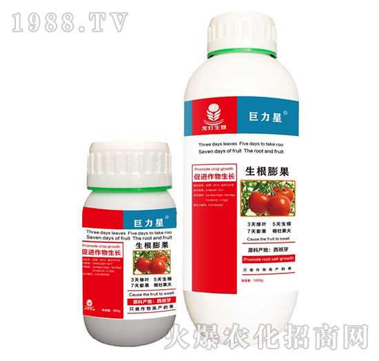 �������-������-��������